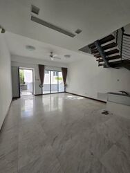Radiance @ Bukit Timah (D21), Terrace #554020111